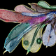 Image for article titled The year's strangest, most beautiful visions of the microverse